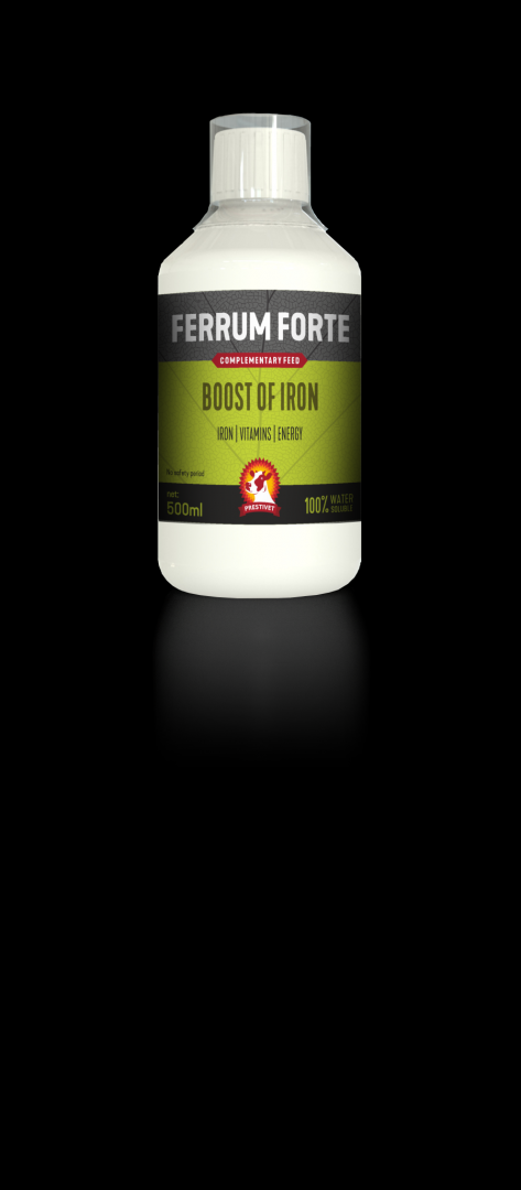 FERRUM FORTE