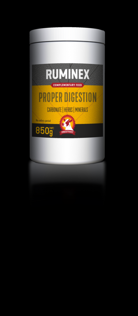 RUMINEX