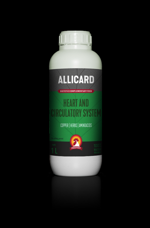 Allicard