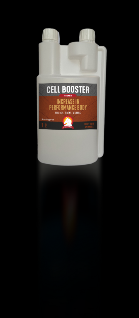 CELL BOOSTER