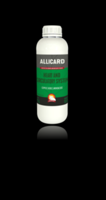 Allicard