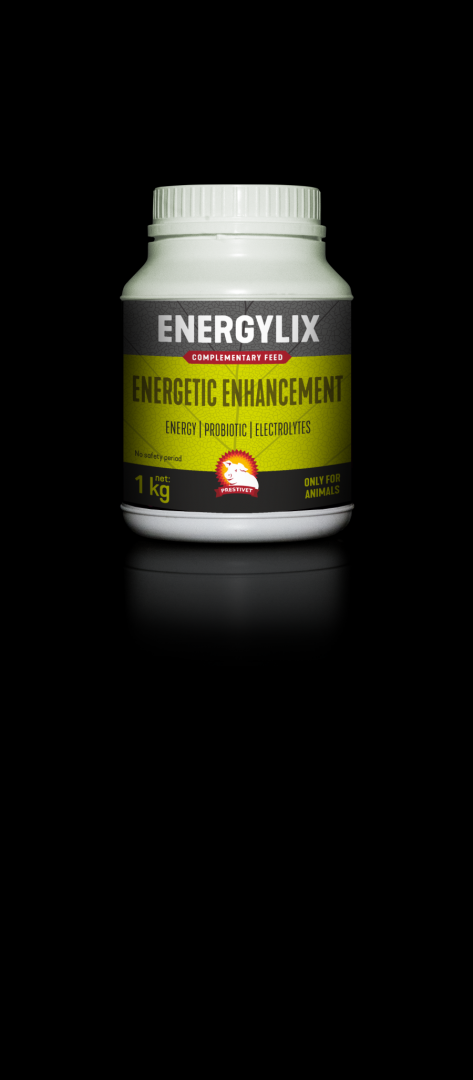 ENERGYLIX